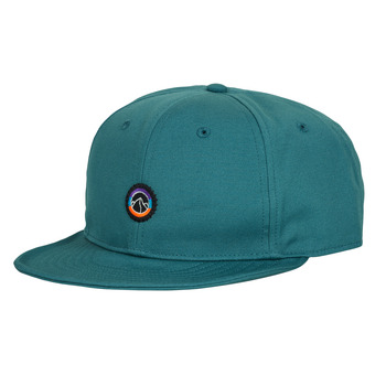 Pet Patagonia Scrap Everyday Cap"