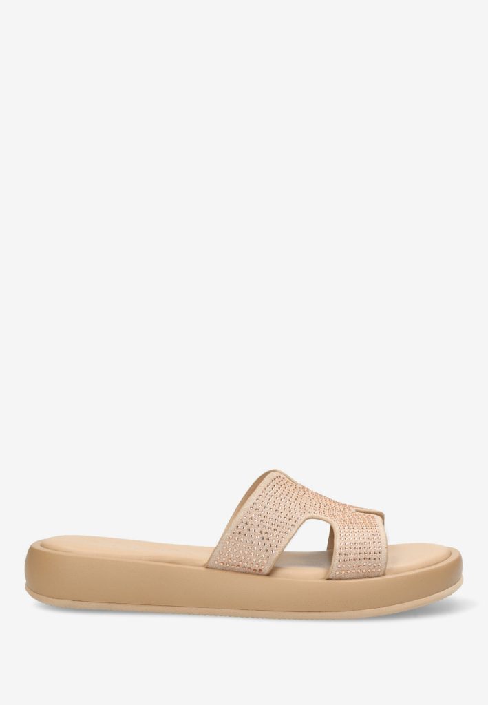 Slipper Lotus Champagne