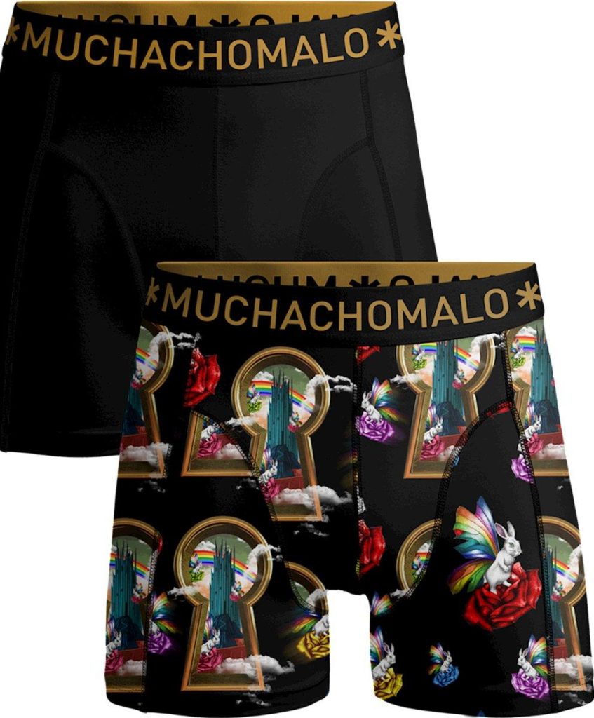 Muchachomalo Boxer overtherain