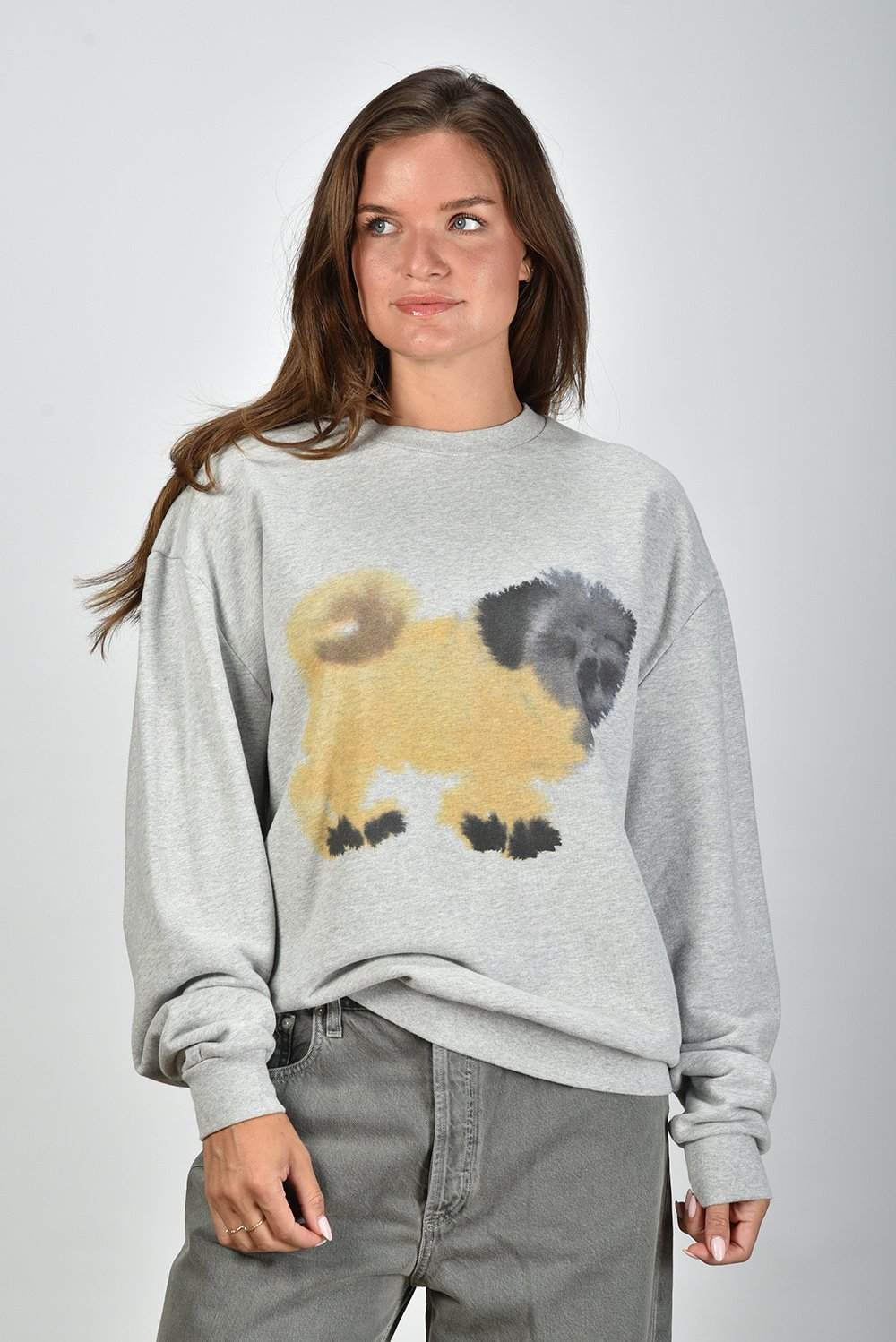 Wild Animals trui Pug Pug met print grijs