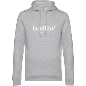 Basic Hoodie