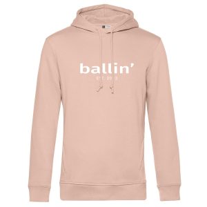 Basic Hoodie