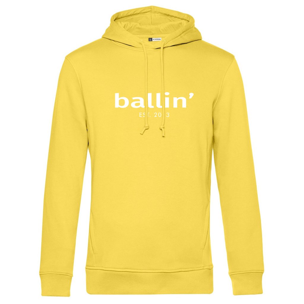 Basic Hoodie