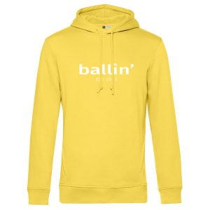 Basic Hoodie