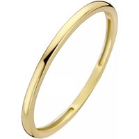 Blush Ringen - Ring 1197YGO - Gold (14k) in gold