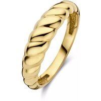 Isabel Bernard Ringen - Isabel Bernard Aidee damen Ring 585 Gold IB330081- in gold