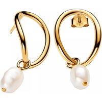 Pandora Oorbellen - 14k Gold-plated drop earrings with baroque treated in white