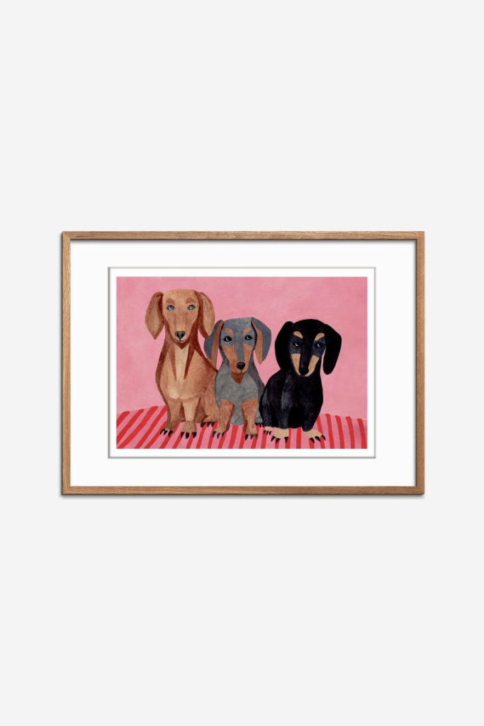 H & M - Iga Kosicka - Dachshunds (framed) - Wit