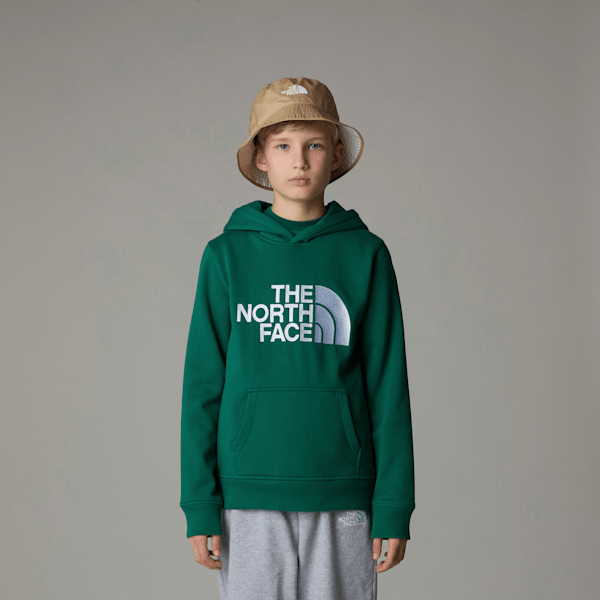 The North Face Drew Peak-hoodie Voor Jongens Evergreen male