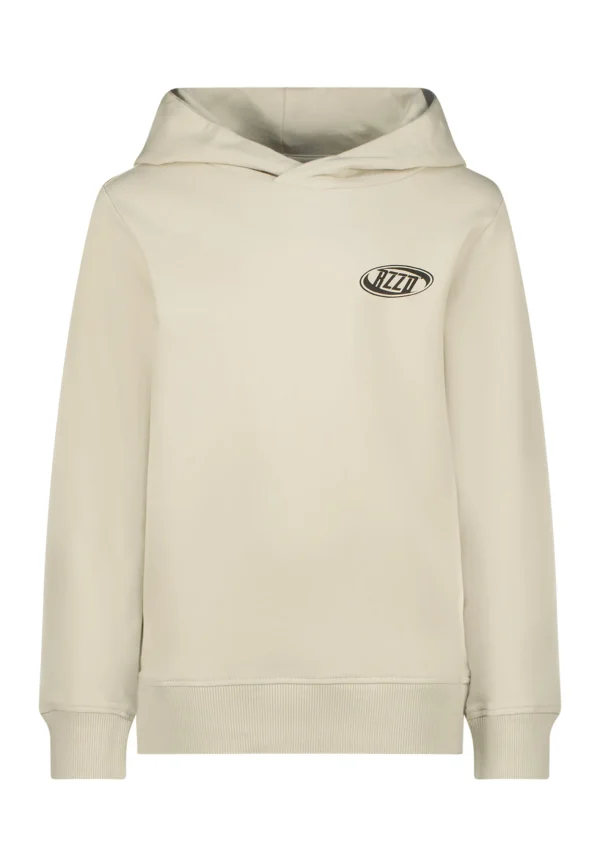 Raizzed Jongens hoodie nezar whisper grey