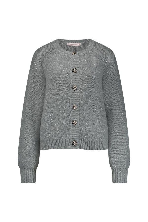 Studio Anneloes Kaya Cardigan 12163 Vest 9100 Light Grey