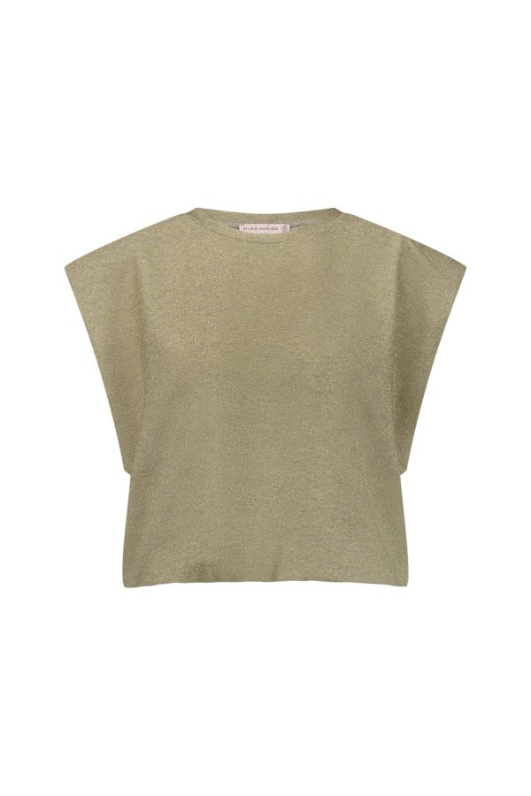 Studio Anneloes Female Shirts En Tops Minna Glitter Top 12066