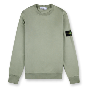 Compass Sweatshirt Sage - M