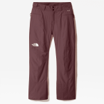 The North Face Presena-broek Voor Dames Wild Ginger female