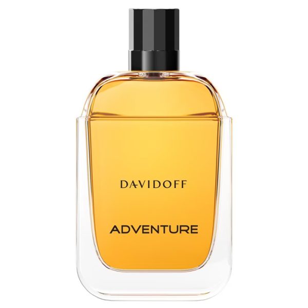 Adventure eau de toilette spray 100 ml