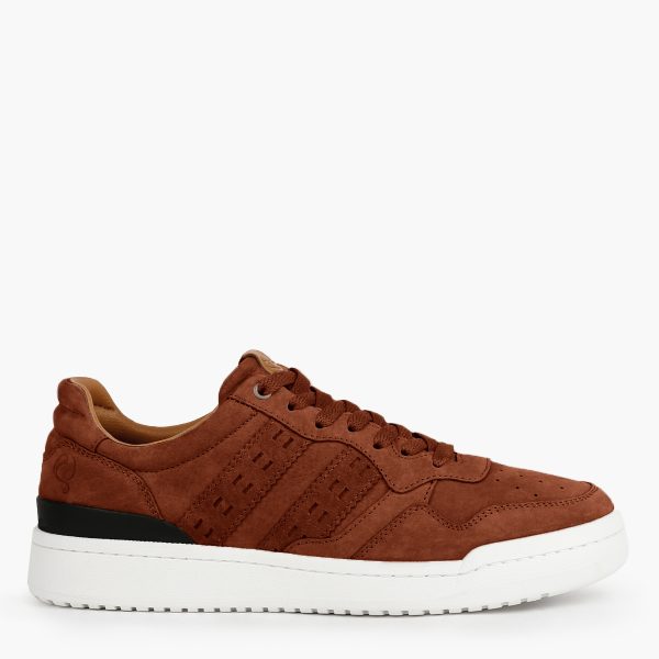 Q1905 Sneaker elsloo cognac