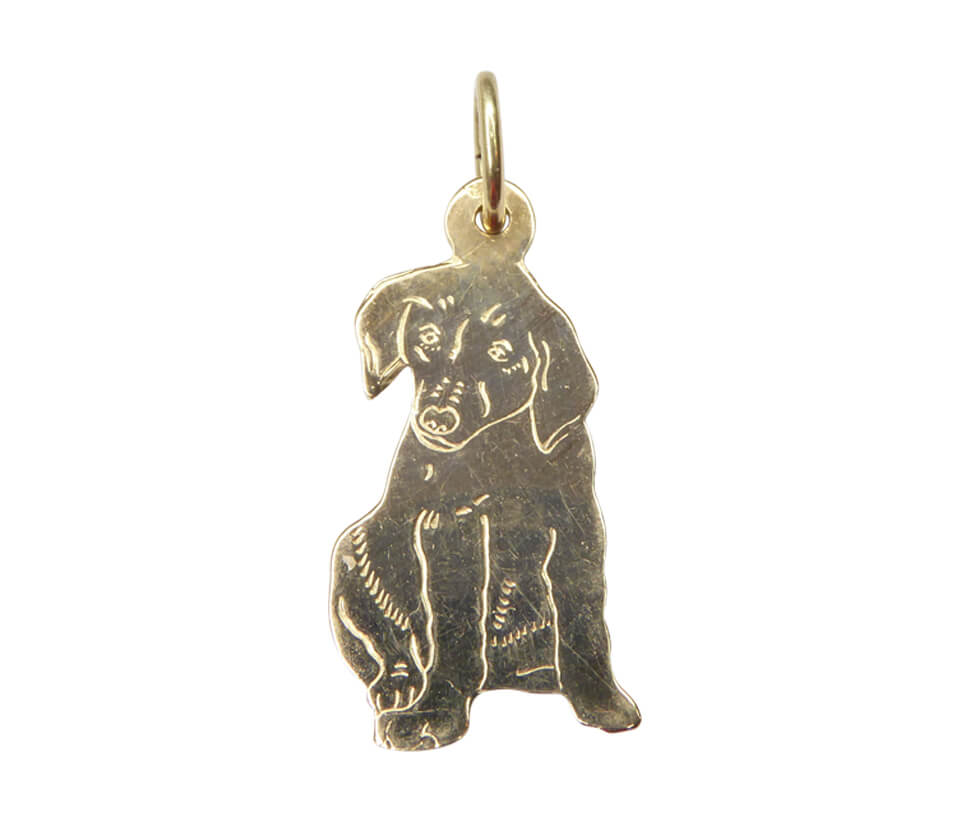 Christian Gouden hond hanger