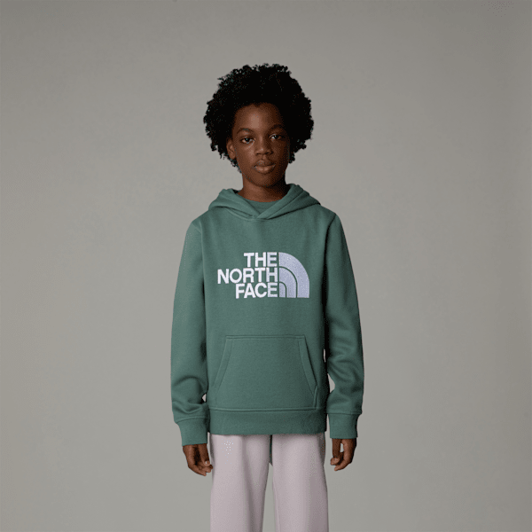 The North Face Drew Peak-hoodie Voor Jongens Duck Green male