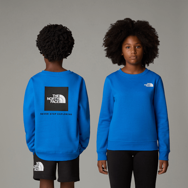 The North Face Redbox-sweatshirt Voor Tieners Hero Blue male