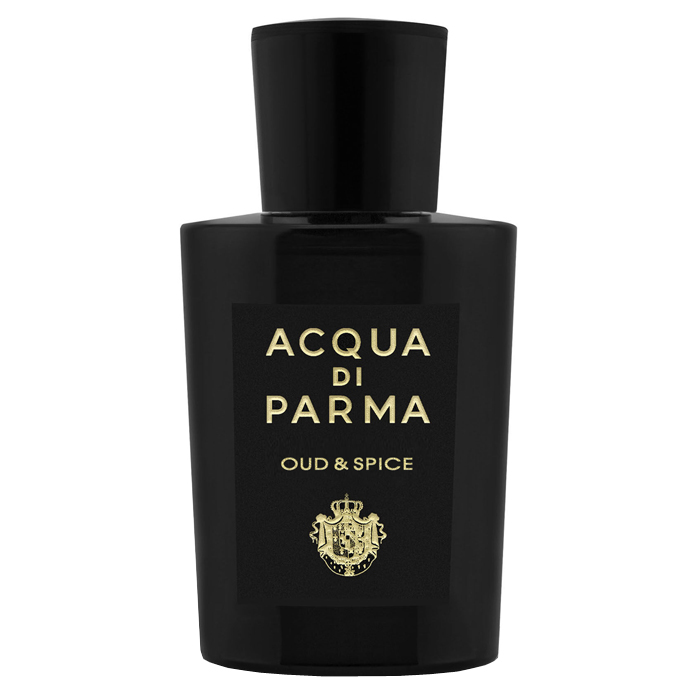 Signature Oud&Spice eau de parfum spray 100 ml