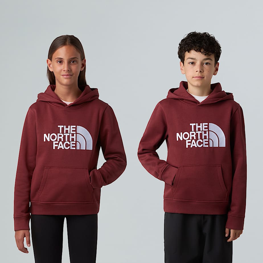 The North Face Drew Peak-trui Met Capuchon Voor Tieners Sumac male