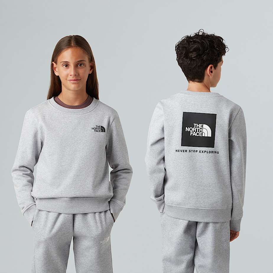 The North Face Nse Box-sweatshirt Voor Tieners Tnf Light Grey Heather male