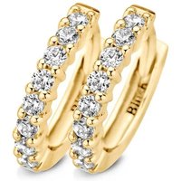 Blush Oorbellen - Earrings 7134YZI - Gold (14k) with Zirconia in gold