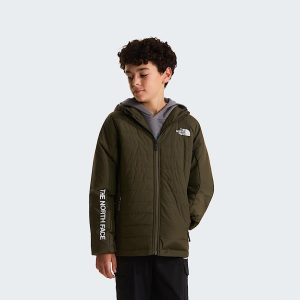 The North Face Synthetische Never Stop-jas Voor Jongens New Taupe Green male