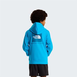 The North Face Nse Box-hoodie Voor Tieners Meridian Blue male