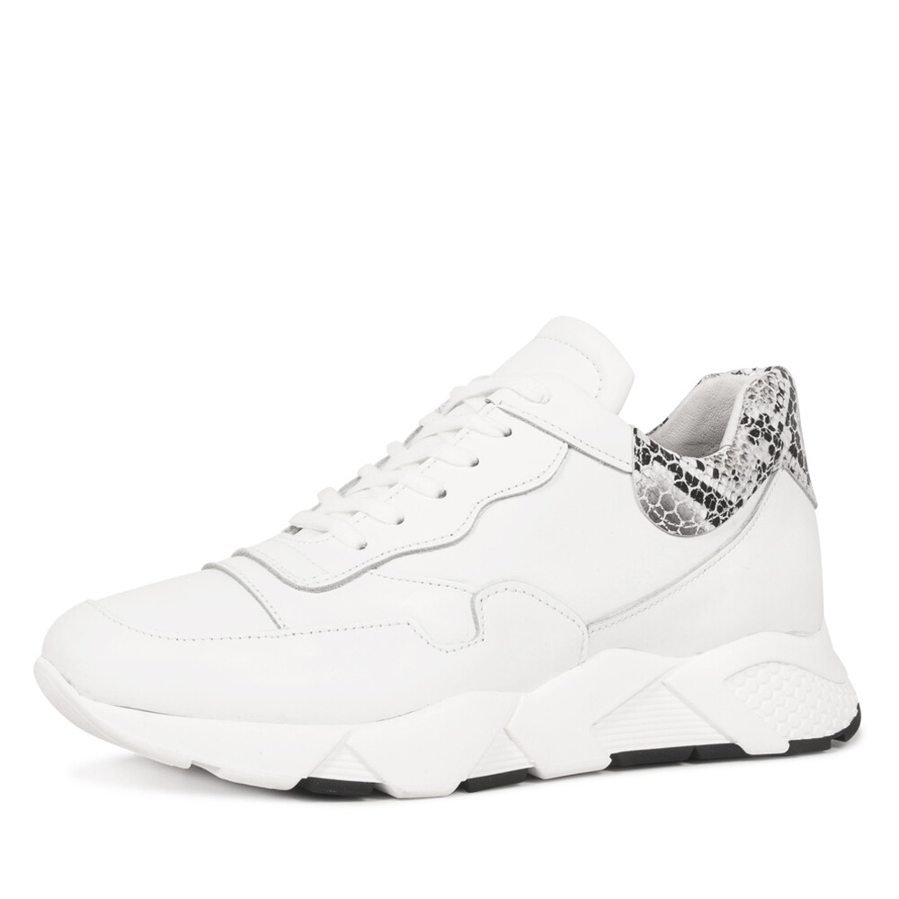 Roberto D'Angelo solar sneaker-41