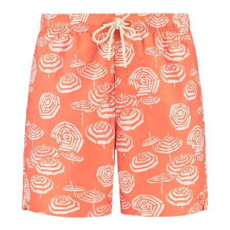Shiwi Mike Swim Shorts