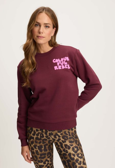 Colourful Rebel Bold Puff Logo Sweater