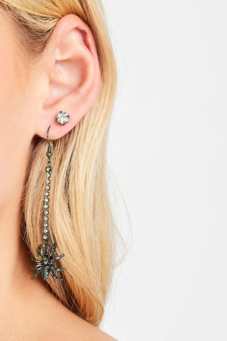 Set Van Twee Paar Oorbellen Met Spin In Zilver