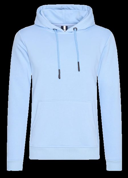 Hønk Licht hoodie