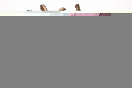 Blundstone 585 enkellaars