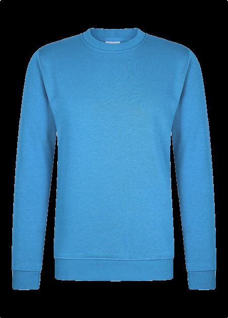 Hønk Zomers sweatshirt