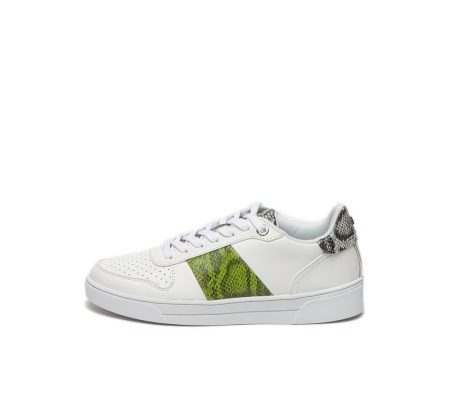 Ted Baker Sneaker coppirr-exotic emboss 241717