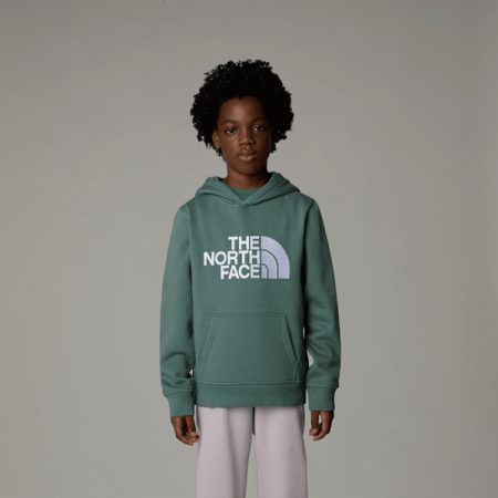 The North Face Drew Peak-hoodie Voor Jongens Duck Green male