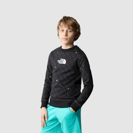 The North Face Drew Peak-sweatshirt Met Print Voor Jongens Tnf Black Tnf Shadow Toss Print male