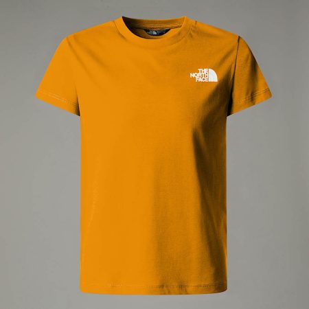 The North Face Nse Box-t-shirt Voor Jongens Summit Gold male
