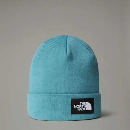 The North Face Gerecyclede Dock Worker-beanie Algae Blue male