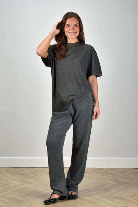 Extreme Cashmere t-shirt Rik 269 felt