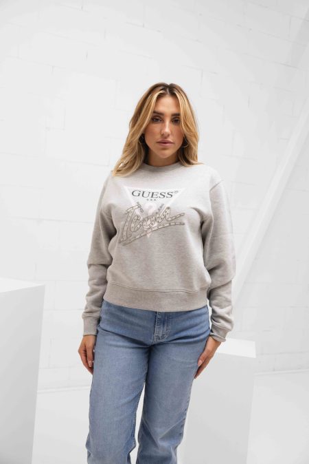 Guess CN Icon Sweater Dames Grijs - Maat XL - Kleur: Grijs | Soccerfanshop