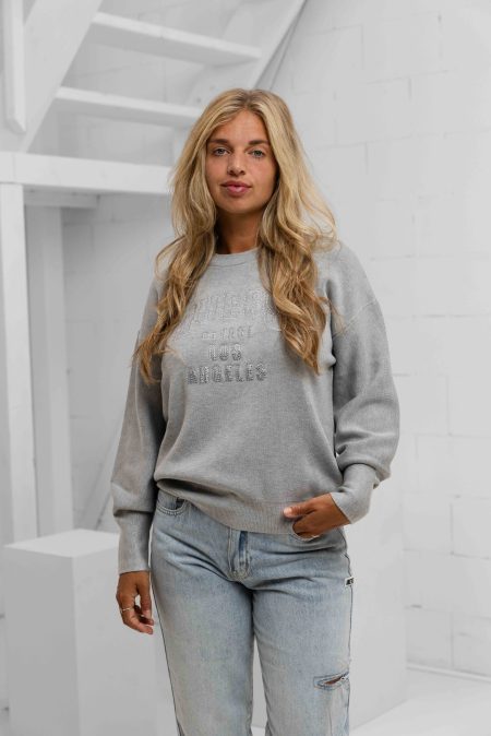 Guess Leighton Logo Sweater Dames Grijs - Maat L - Kleur: Grijs | Soccerfanshop