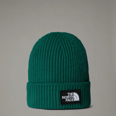 The North Face Tnf Box Logo-beanie Met Boord Voor Kids Evergreen male