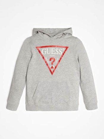 Sweatshirt Met Capuchon Driehoeklogo