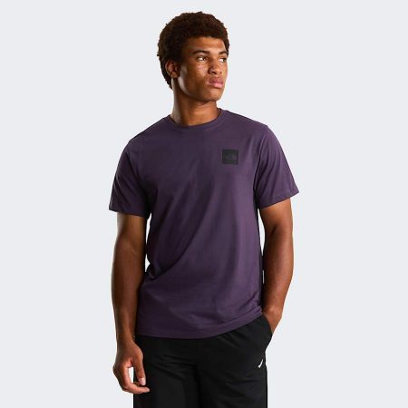 The North Face Evolution Box Half Dome Regular T-shirt Voor Heren Endless Dusk male