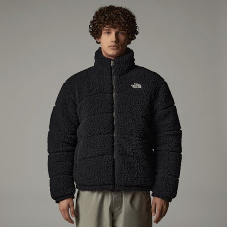 The North Face Hoogpolige Tnf 2000-jas Voor Heren Tnf Black male