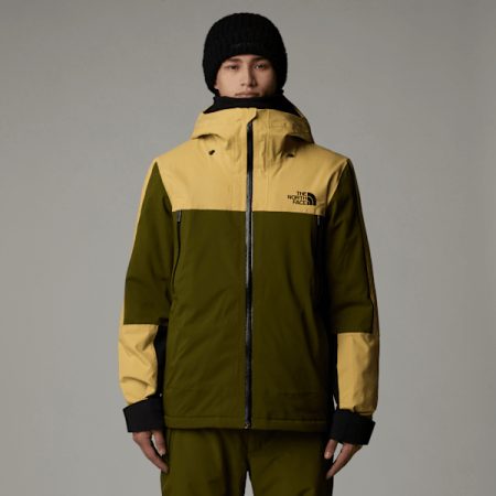 The North Face Mount Bre-jas Voor Heren Forest Olive-lichen Gold male