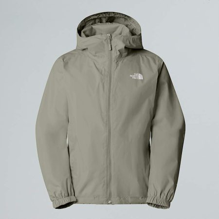 The North Face New Peak-inpakbare Jas Voor Heren Clay Grey male